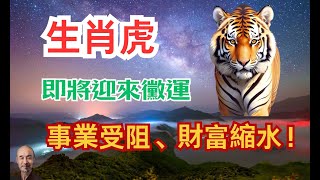 命理推算：生肖虎即將迎來黴運，事業受阻、財富縮水，生活中更是挑戰不斷，不容忽視的警示時刻到來！ 生肖虎2024年運勢 屬虎人2024年運程 屬虎人2024年運勢 [upl. by Sayers]