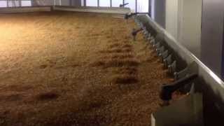 Cimbria Heid Gravity Separator in Wheat [upl. by Adlanor]