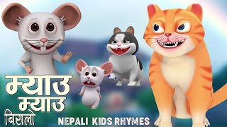 Meow Meow Biralo म्याउ म्याउ Mau Mau Popular Rhymes For ChildrenFamous Rhymesबाल गीत New Rhymes [upl. by Olethea]