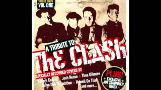 Mr David Viner  Should I Stay Or Should I Go The Clash Cover [upl. by Zsa]