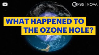 What Happened to the Hole in the Ozone Layer  NOVA  PBS [upl. by Nehpets]