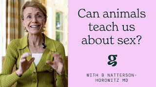 What can animals teach us about sex  B NattersonHorowitz MD [upl. by Ad]