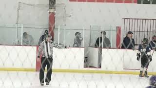 Windy City Storm vs Irish Rovers  Peewee AAA hockey  12223 [upl. by Reibaj]