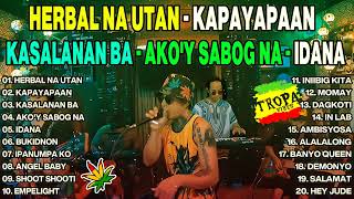 BEST REGGAE MUSIC MIX 2024  Jopay  TROPAVIBES REGGAE NEW 2024 💖 BEST OF TROPAVIBES 💔 [upl. by Gnolb524]