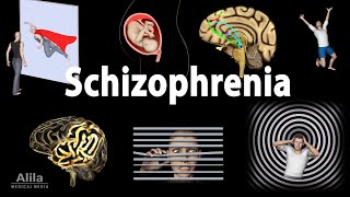 Schizophrenia Symptoms Cause Pathophysiology Diagnosis and Treatments Animation [upl. by Ainahpets]