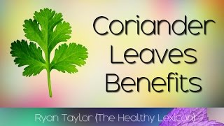 Coriander Leaves Benefits and Uses DhaniaCilantro [upl. by Allimrac]