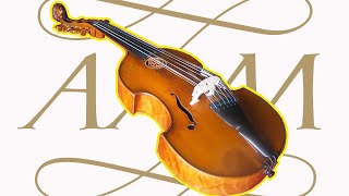 An Introduction to the Viola damore [upl. by Kanter]