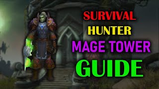 Survival Hunter  Mage Tower  Guide  Dragonflight Season 3 1025 [upl. by Annahpos]