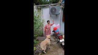 Kanchan Joshi 20 live stream [upl. by Osy]