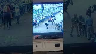 palio di Siena 2022 [upl. by Thema]