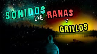 SONIDO de 🐸RANAS y 🦗GRILLOS por la NOCHE [upl. by Cleodel]