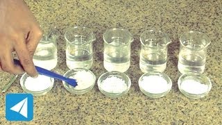 Compare solubility of salt sugar and chalk  Solutions  Chemistry [upl. by Uke]