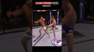 Back sweep kick martialarts mma ufc [upl. by Hpesoy]