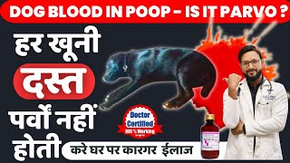 पार्वो वायरस के लक्षण और घरेलु ईलाज  Parvovirus  Signs Treatment  For Dogs  Puppies  In Hindi [upl. by Carmella]