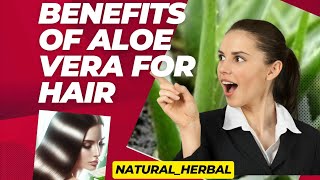 Benefits of Aloe Vera for Hairhealth hairstyle hair [upl. by Chung647]