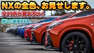 【11色全て揃う】レクサスNX全てのカラー集結してみた。グリル塗装した新型RXも！大規模オフ会 第17回 NEXUS MEETS at 埼玉にてレクサスNXが全色揃う！ [upl. by Niabi188]