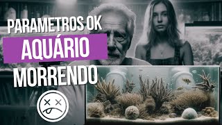 MEUS PARÂMETROS TODOS OK CORAIS MORRENDO  REEFTECH PODCAST [upl. by Haerb537]