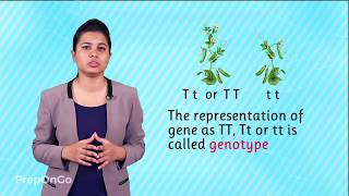 Heredity and Evolution  Understanding Basic Terminology  Mendels experiment [upl. by Noloc509]