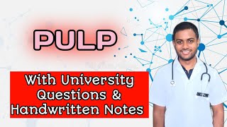 PULP  Structural Details Of Pulp Odontoblastic Zone Age Changes Of Pulp Denticles [upl. by Quita]