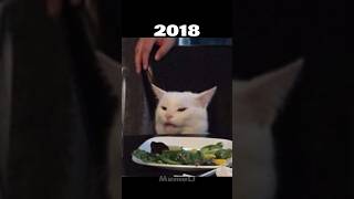 Woman yelling at cat meme shorts memes funny [upl. by Feer]