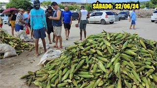 PESQUISA DE PREÇO DO MILHO NO PATIO DO MERCADO DE ABREU E LIMAPE SÁBADO220624 [upl. by Batchelor341]