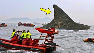 Coast Guard Spot Huge Creature Near Boat Accident  They Turn Pale After Realizing What It Is [upl. by Sexton]