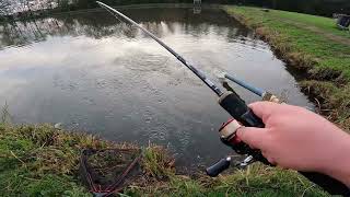 Forelvissen op zalm met wasmotten [upl. by Chrysler]