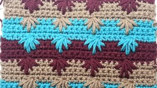 How to Crochet the Puff Spike Stitch [upl. by Namar]