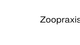 How to pronounce Zoopraxiscope [upl. by Keil975]