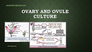 Ovary and ovule culture  Gynogensis  Plant tissue culture  AZ Concepts guide [upl. by Brier]