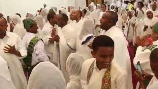 Orthodox Tewahedo Wedding Ceremony Teklil before Liturgy ሥርዓተ ተክሊልን ተከትሎ ከቅዳሴ በፊት [upl. by Yztim]