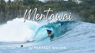 Surfing Mentawai With The Perfect Wave  Andy Potts [upl. by Eeruhs]