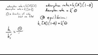 Langmuir Isotherm [upl. by Haydon]