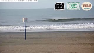 🤙 Live Hoek van Holland  Sterker door strand  Good thanks surfboards  Pele Surf Shack [upl. by Tare]