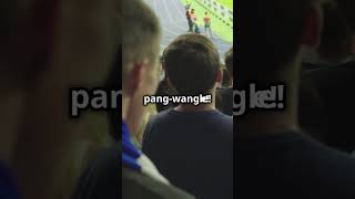 Get Your Pang Wangle On England Euro 2024 meaning and origin [upl. by Nnyleitak]