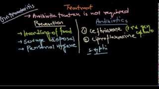 Salmonella treatment [upl. by Voltmer]