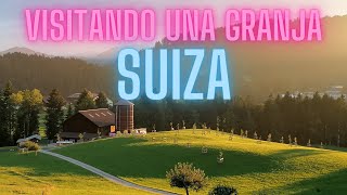 VISITANDO UNA GRANJA SUIZA [upl. by Yltnerb]