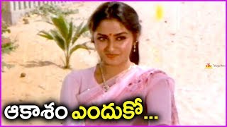 Sobhan Babu Super Hit Song In Telugu  Swayamvaram Movie Video Song  Akasam Enduko [upl. by Anaek236]