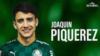 Joaquín Piquerez 2021 Bem Vindo ao Palmeiras  Skills amp goals  HD [upl. by Hercules]