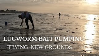 Bait Pumping For Fresh Lugworm on a Sandbank that Only uncovers on Big Tides [upl. by Kreg324]