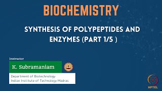 Synthesis of Polypeptides and Enzymes Part 15 [upl. by Ybeloc938]