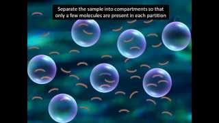 Digital PCR explained in 2 minutesmust watch [upl. by Adaner]