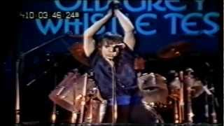 Iggy Pop 19771979 14 New Values 19790424 Old Grey Whistle Test [upl. by Omissam]