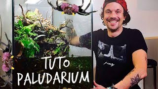 TUTO PALUDARIUM  UN PARADIS POUR MES CRABES VAMPIRES  TOOPET [upl. by Alledi]