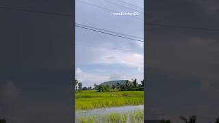 Beautiful landscape near the mountain in rice fields during rainy season shorts nature [upl. by Galloway228]