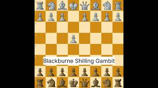 Blackburne Shilling Gambit chess gambit trap Blackburne [upl. by Wain]