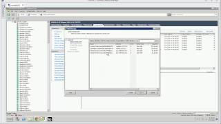 How to Setup Fibre Channel for VMware Environment [upl. by Accemahs]