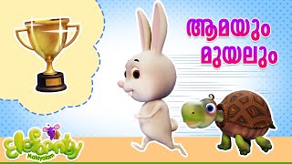 ആമയും മുയലും l Aamayum Muyalum Tortoise amp Rabbit  Malayalam Animation video l Elefaanty Malayalam [upl. by Alimak]