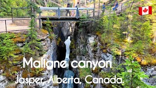 Maligne canyon attraction in jasper jasper national park attraction in Alberta jasper Alberta [upl. by Oech]