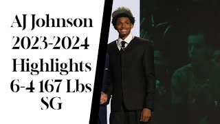 AJ Johnson 2024 Basketball Highlights [upl. by Horatius]